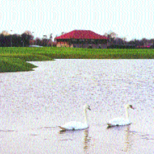 Allen Park Golf Centre